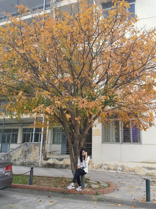 Chỉ cần biết tìm góc chụp, chỉnh màu một chút là bạn đã có một phông nền chụp ảnh lãn mạng chẳng khác gì Hàn Quốc.