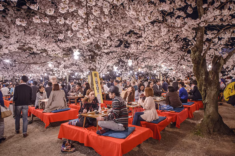 Mùa xuân xứ Phù Tang diễn ra từ tháng 3 đến tháng 5. Trong dịp này, du khách có cơ hội ngắm hoa anh đào và trải nghiệm các hoạt động văn hóa thú vị như văn nghệ cổ truyền, thưởng thức cơm hộp bento, rượu sake trứ danh.