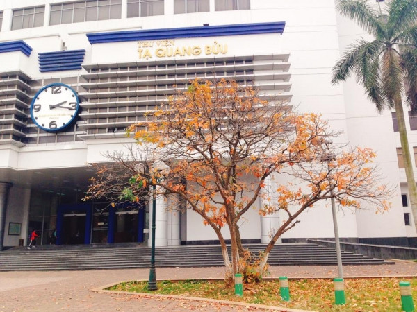 Vừa mới nghỉ Tết từ quê lên, các bạn học sinh đã ráo nhau kéo đến ngôi trường này để 'sống ảo' cùng với thảm lá vàng khô thơ mộng.