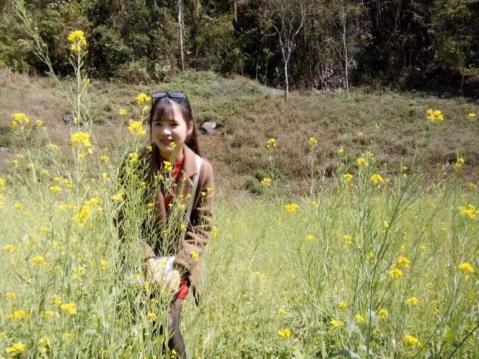 Cao nguyên Mộc Châu với khí hậu mát mẻ quanh năm, cùng với đó là phong cảnh thiên nhiên hữu tình, đã thu hút nhiều khách du lịch đến trải nghiệm trong đầu xuân năm mới.