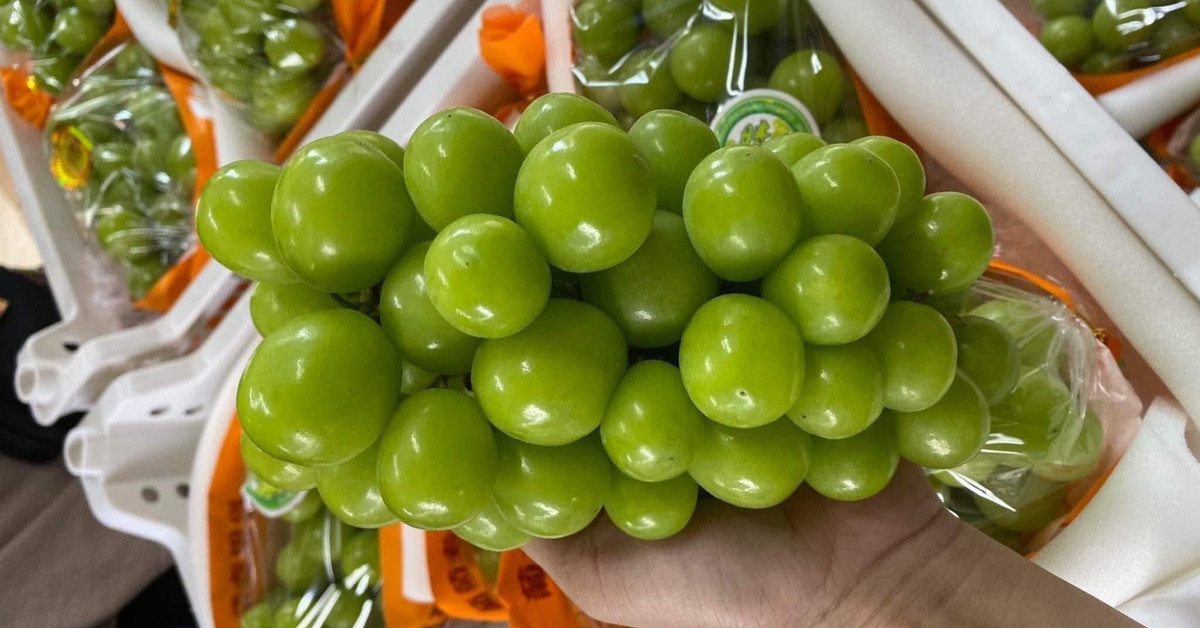 Viet Nam chi hon 2.500 ty dong nhap khau cac loai nho tuoi-Hinh-2