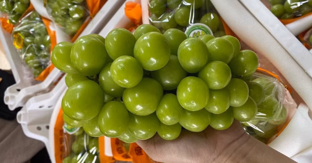 Viet Nam chi hon 2.500 ty dong nhap khau cac loai nho tuoi-Hinh-2