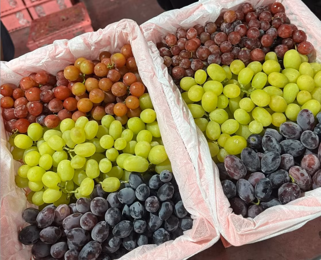 Viet Nam chi hon 2.500 ty dong nhap khau cac loai nho tuoi-Hinh-10