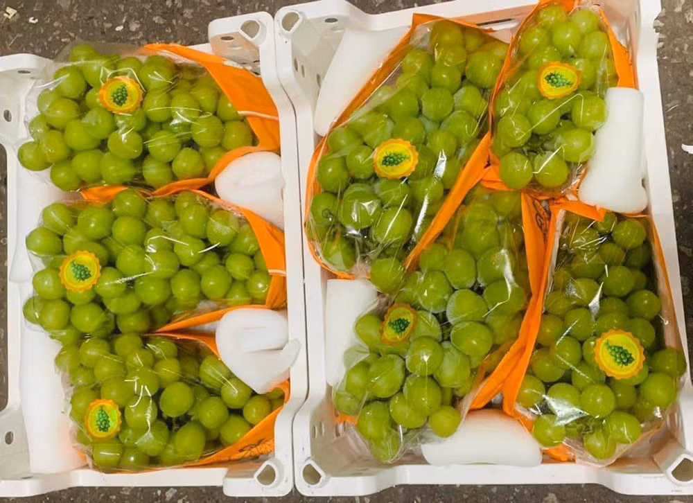 Viet Nam chi hon 2.500 ty dong nhap khau cac loai nho tuoi-Hinh-3