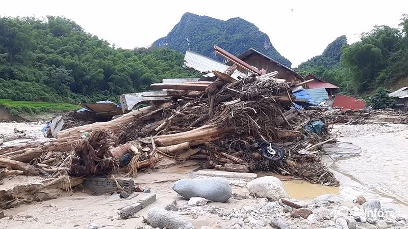 Sau lu, ban Sa Na o Thanh Hoa trong nhu ngay tan the-Hinh-13
