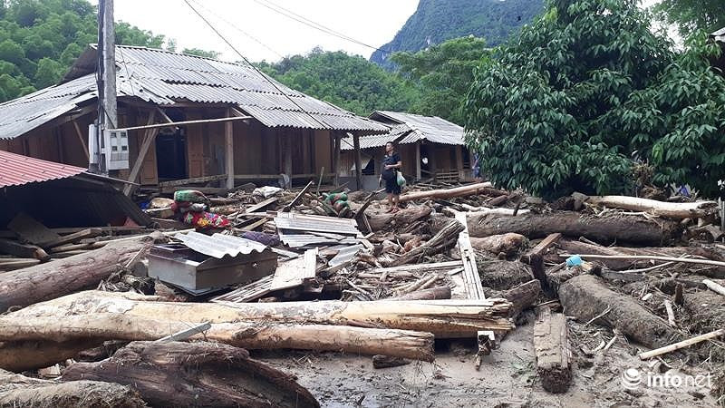 Sau lu, ban Sa Na o Thanh Hoa trong nhu ngay tan the-Hinh-3