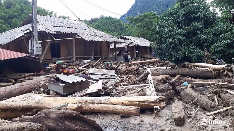 Sau lu, ban Sa Na o Thanh Hoa trong nhu ngay tan the-Hinh-3