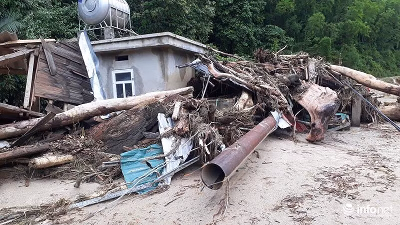 Sau lu, ban Sa Na o Thanh Hoa trong nhu ngay tan the-Hinh-8