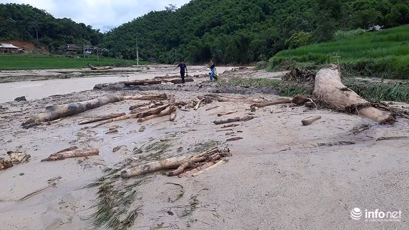Sau lu, ban Sa Na o Thanh Hoa trong nhu ngay tan the-Hinh-6