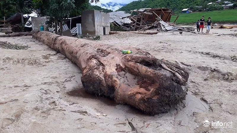 Sau lu, ban Sa Na o Thanh Hoa trong nhu ngay tan the-Hinh-5