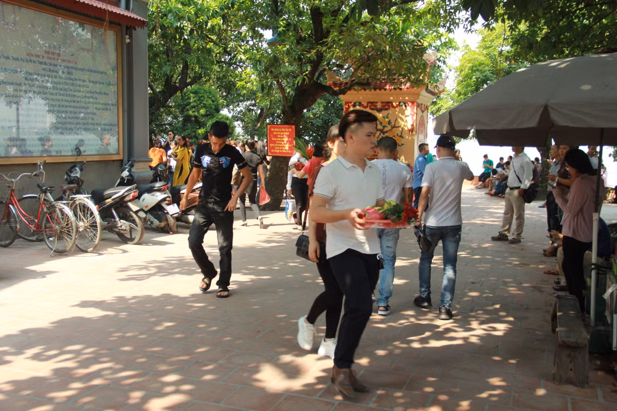 Bông hoa hồng được chọn là biểu tượng của tình yêu, sự cao quý và ngát hương. Việc nhớ về bậc sinh thành và cài lên ngực bông hoa cao quý là tình cảm đẹp nhất, là chữ hiếu mà con cái gửi đến bậc sinh thành.