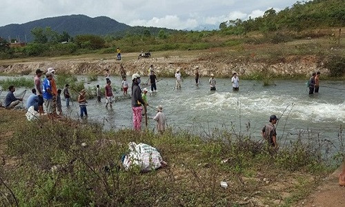 Hằng trăm người dân tụ tập bắt cá. Ảnh : Facebook Trường Nguyễn.