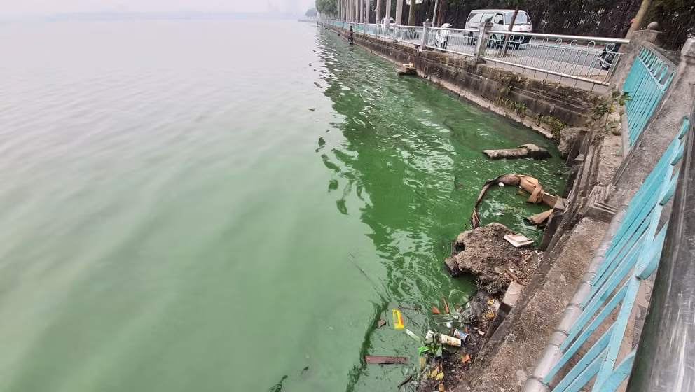 Được biết, vào hồi tháng 7/2020, sau khi được bơm hàng triệu mét khối nước từ hồ Tây, sông Tô Lịch giảm hẳn mùi hôi thối, làn nước chuyển từ màu đen sang màu xanh.