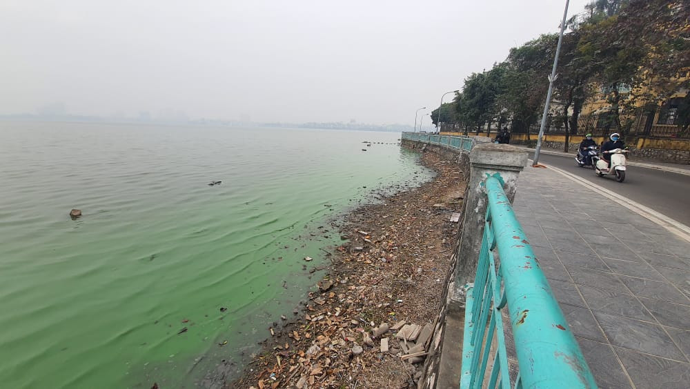 PGS Thanh cũng cảnh báo, cần sớm truy nguyên nhân và xử lý ngay vì nếu để lâu và không may có trận mưa hay một tổ chức, cá nhân nào đó lợi dụng để xả thải ra môi trường nước Hồ Tây thì sẽ gây nguy cơ lớn cho các sinh vật hồ.