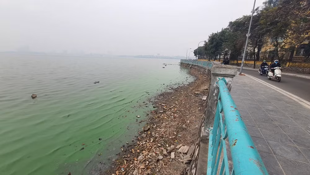 PGS Thanh cũng cảnh báo, cần sớm truy nguyên nhân và xử lý ngay vì nếu để lâu và không may có trận mưa hay một tổ chức, cá nhân nào đó lợi dụng để xả thải ra môi trường nước Hồ Tây thì sẽ gây nguy cơ lớn cho các sinh vật hồ.