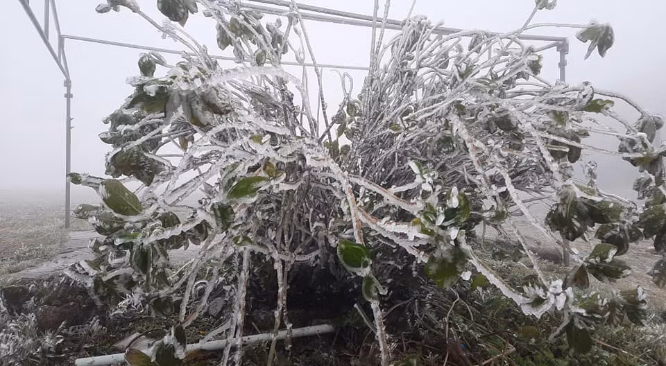 Nhiet do xuong thap, nui Mau Son xuat hien bang gia-Hinh-3