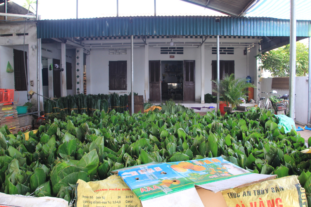 Tet o lang banh chung noi tieng Phu Tho-Hinh-2