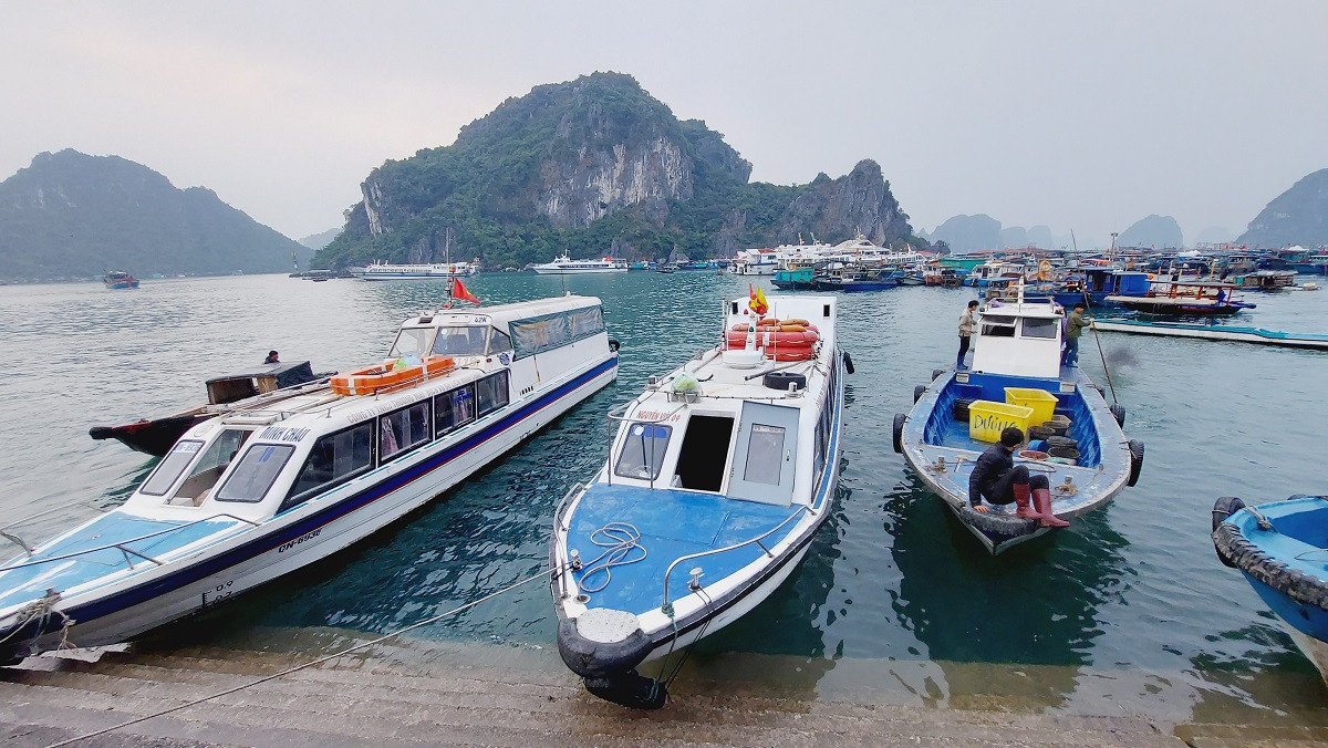 Các con thuyền cao tốc chở khách nằm im lìm tại cảng.