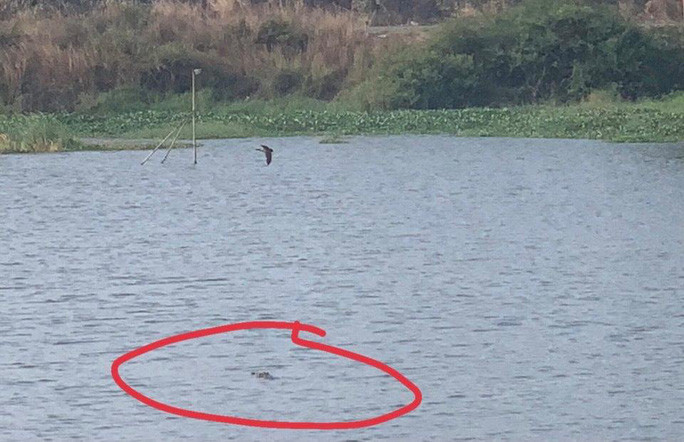 2 con ca sau song ra ho, nguoi dan xum lai vay bat-Hinh-2