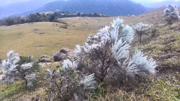 Giai đoạn thứ 2 của đợt không khí lạnh là từ ngày 11 đến ngày 13/1. Khi đó, không khí lạnh được tăng cường thêm, nhưng sẽ chuyển sang trạng thái rét khô, ban đêm nhiệt độ thấp, rét buốt, ban ngày nắng, nhiệt độ cao nên cảm giác không rét bằng giai đoạn đầu. Trong thời kỳ này cần chú ý khả năng băng giá, sương muối ở vùng núi cao.