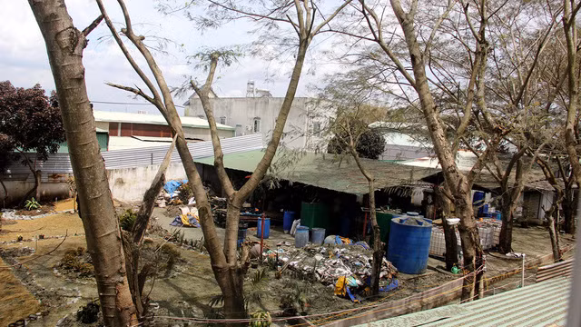 Vu ro ri khi ammoniac: Khuyen cao nguoi dan chua nen ve nha-Hinh-2