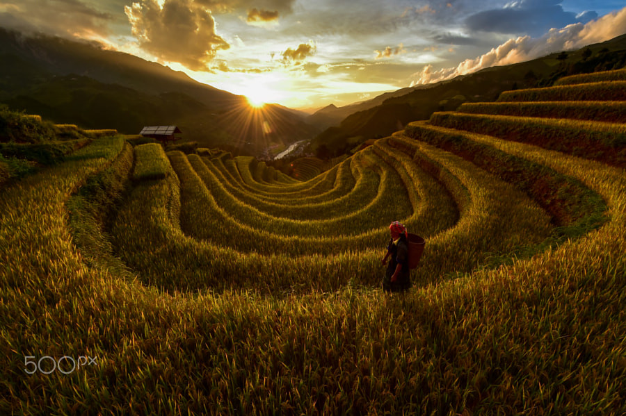 Hoàng hôn trên ruộng bậc thang Mù Căng Chải.