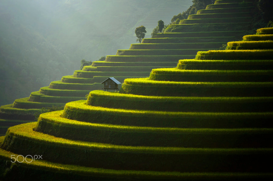 "Chốn thần tiên" có thực ở Mù Căng Chải.