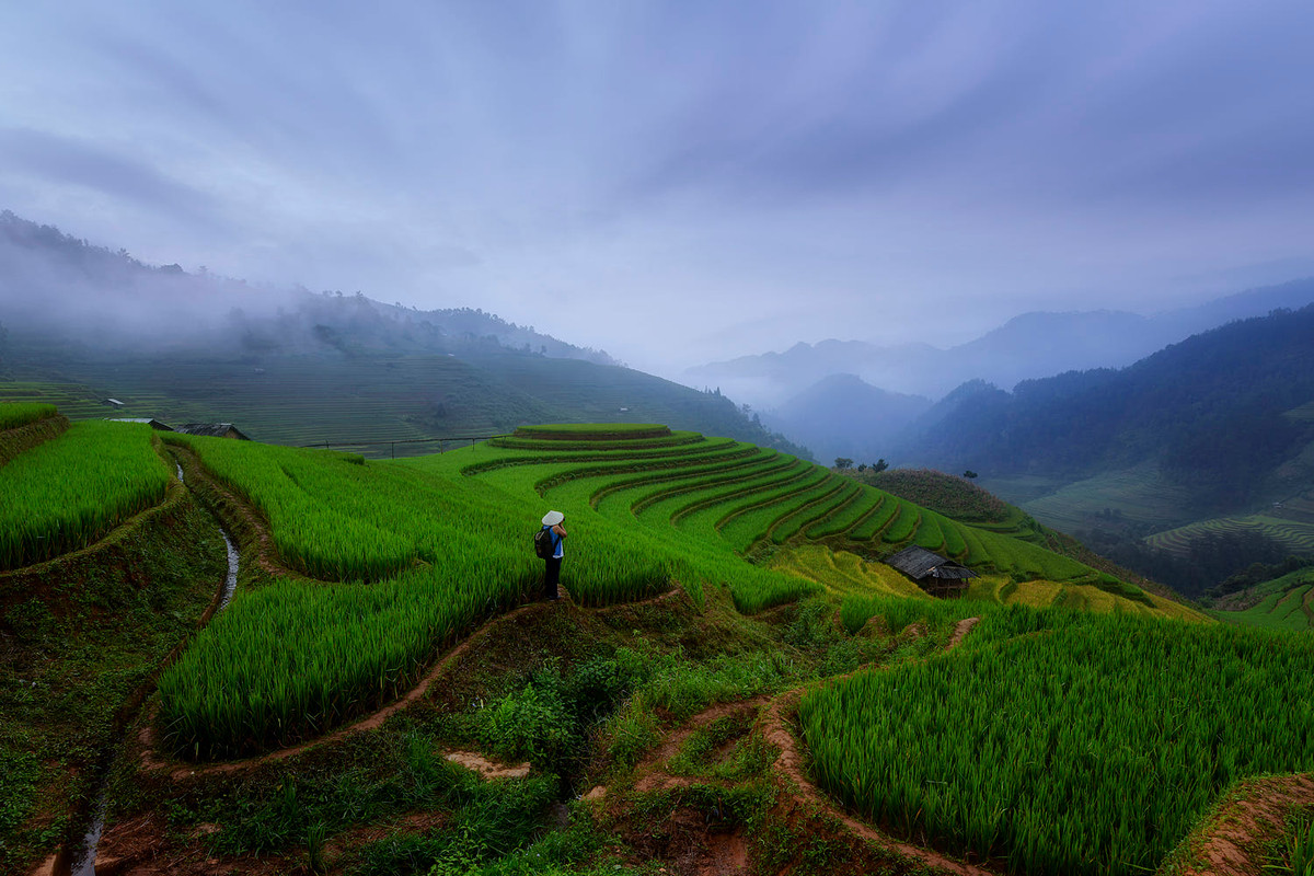 Cảnh quan đẹp mê hoặc ở Mù Căng Chải.