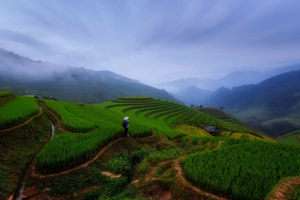 Cảnh quan đẹp mê hoặc ở Mù Căng Chải.