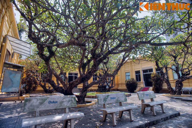 Năm 1902, nhà khảo cổ Henri Parmentier của Trường Viễn Đông Bác cổ chính thức đề cử dự án kiến thiết bảo tàng và được hai kiến trúc sư người Pháp là Delaval và Auclair thực hiện. Đề án được chọn là một tòa nhà kiểu Pháp đương thời kết hợp với một số nét kiến trúc Chăm.