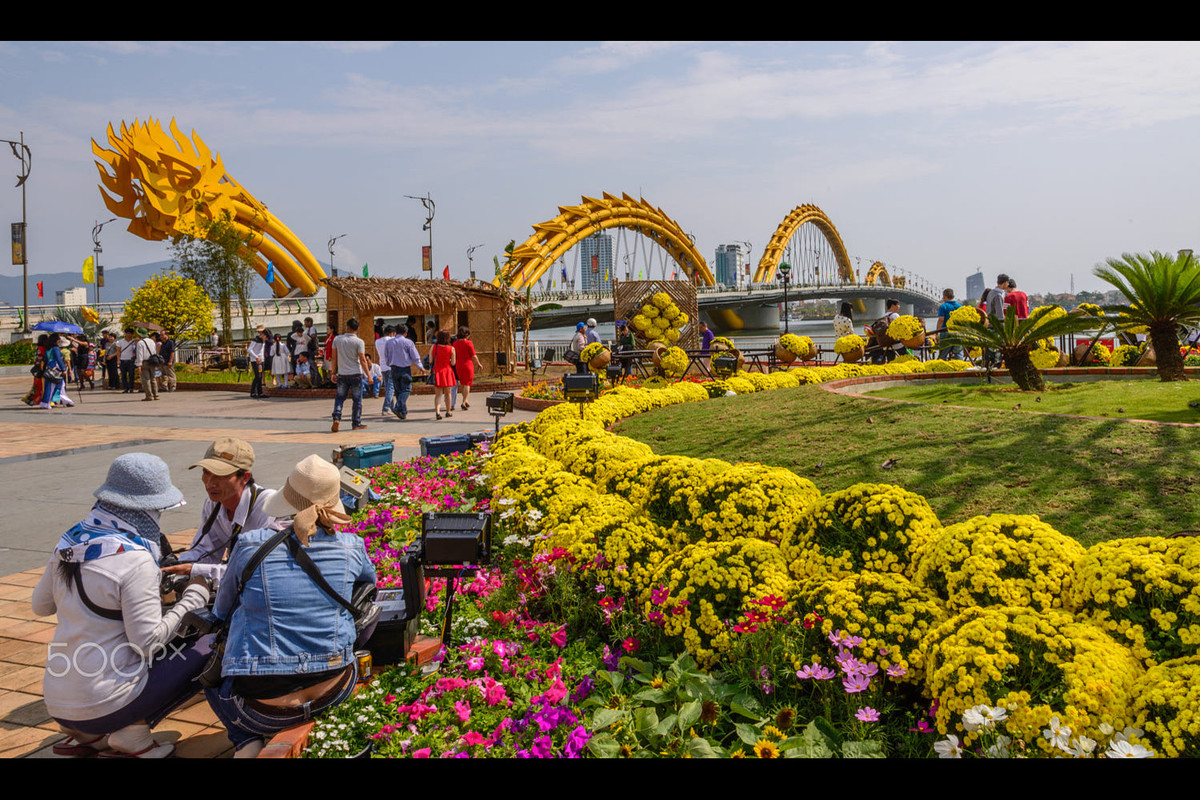 Muôn sắc hoa Đà Nẵng. Ảnh: Robert Carroll / 500px.com.