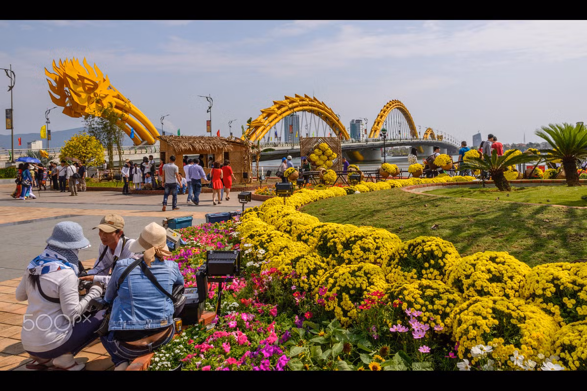 Muôn sắc hoa Đà Nẵng. Ảnh: Robert Carroll / 500px.com.