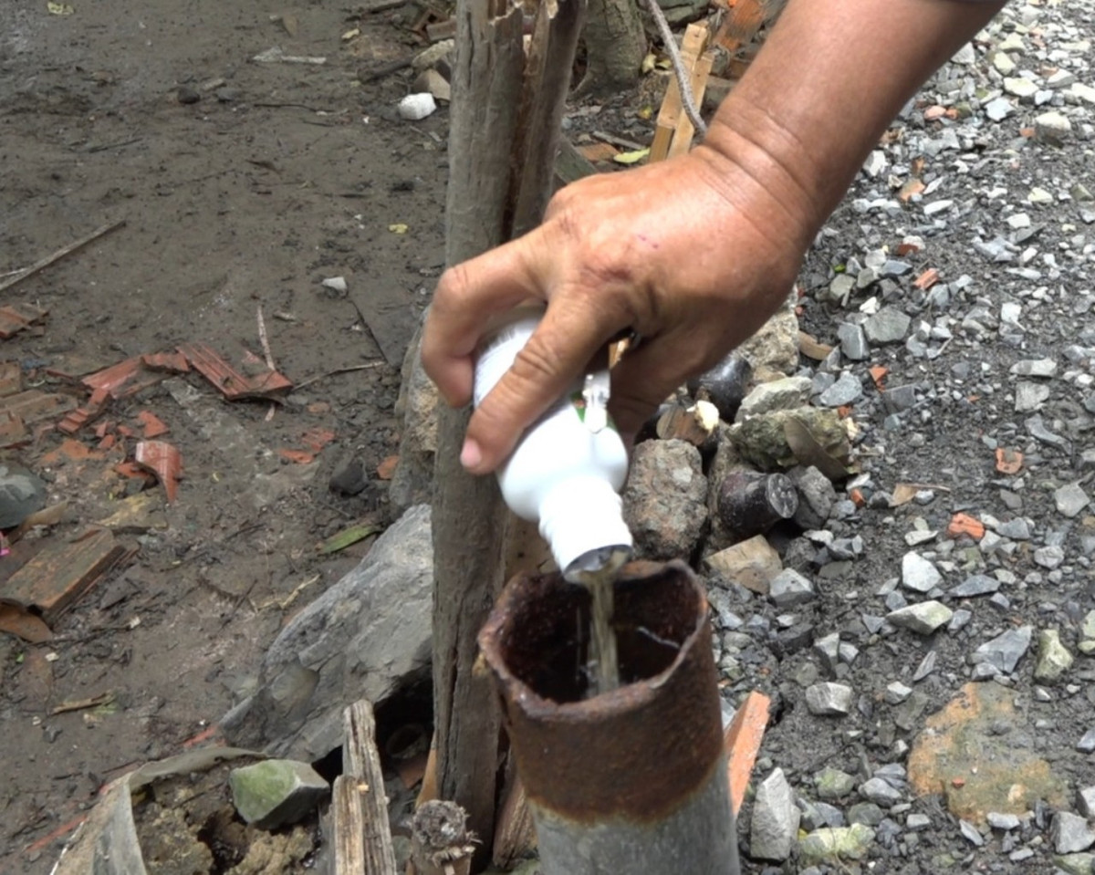 TP HCM: Thêm một ca tử vong vì sốt xuất huyết - Hình 2 TP HCM: Them mot ca tu vong vi sot xuat huyet-Hinh-2