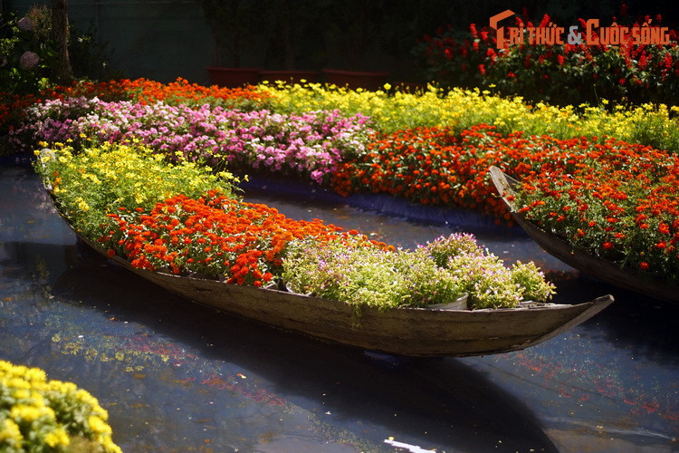 Sắc màu rực rỡ của các loài hoa hiện diện ở mọi góc nhìn.