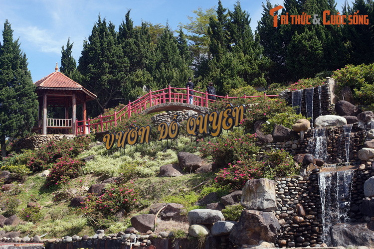 Cảnh quan vườn hoa giống một Đà Lạt thu nhỏ với những dạng địa hình đặc thù như núi đồi...