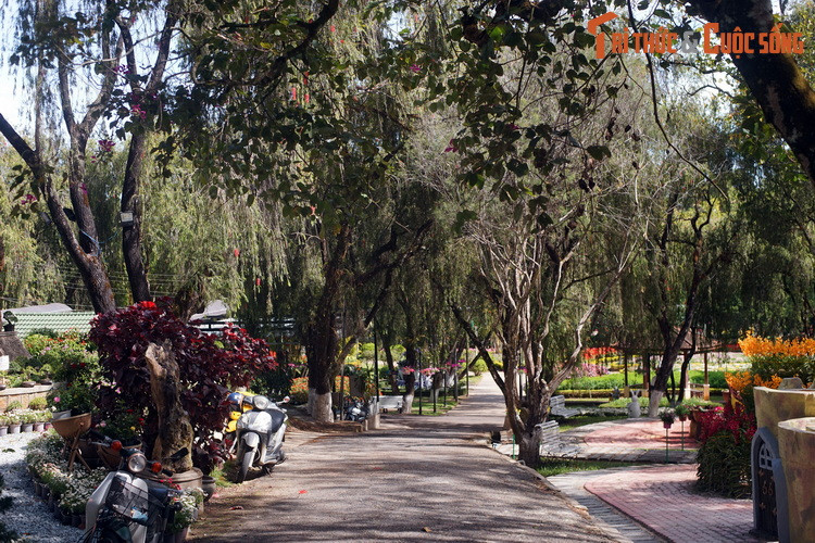 Ngày nay, vườn hoa tọa lạc trên diện tích khoảng 7 héc ta, được chia thành các tiểu khu, liên kết với nhau bằng hệ thống lối đi rộng rãi, thoáng đãng.