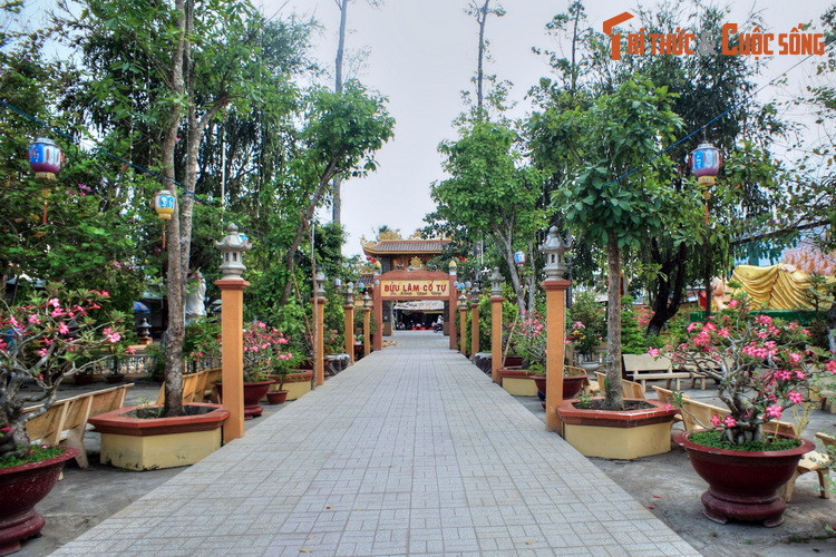 Vào năm 1999, chùa Bửu Lâm được công nhận là di tích lịch sử văn hóa cấp quốc gia của Việt Nam. Mời quý độc giả xem video: Ý nghĩa những phong tục ngày Tết Việt | VTC1.