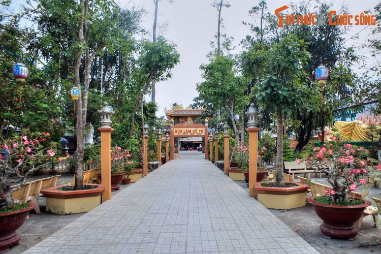 Vào năm 1999, chùa Bửu Lâm được công nhận là di tích lịch sử văn hóa cấp quốc gia của Việt Nam. Mời quý độc giả xem video: Ý nghĩa những phong tục ngày Tết Việt | VTC1.