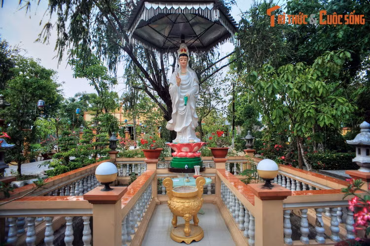 Vào năm 1945, chiếc đại hồng chung trong chùa Bửu Lâm đã được các hòa thượng hiến cho cách mạng để sản xuất vũ khí, góp phần vào cuộc kháng chiến chống thực dân Pháp của dân tộc ta.