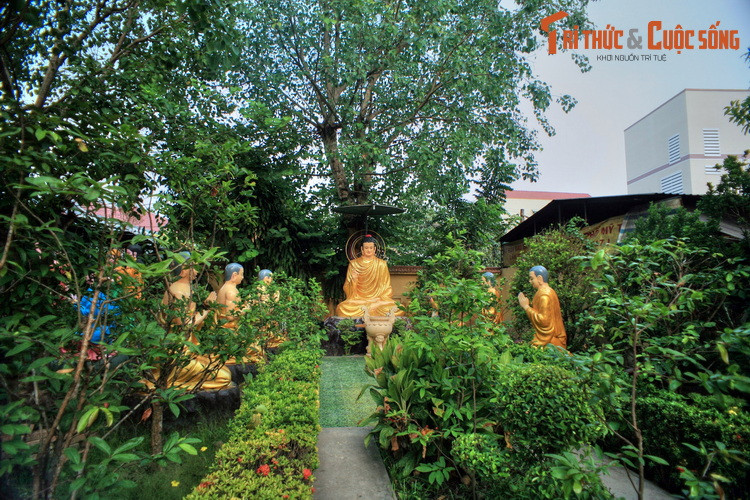 Khuôn viên Bửu Lâm rộng rãi, nhiều cây cảnh đẹp, cây ăn quả được chăm sóc tốt, bài trí nhiều cụm tượng tái hiện các điển tích Phật giáo nên du khách đến chùa thường dành thời gian tham quan quang cảnh trong chùa.