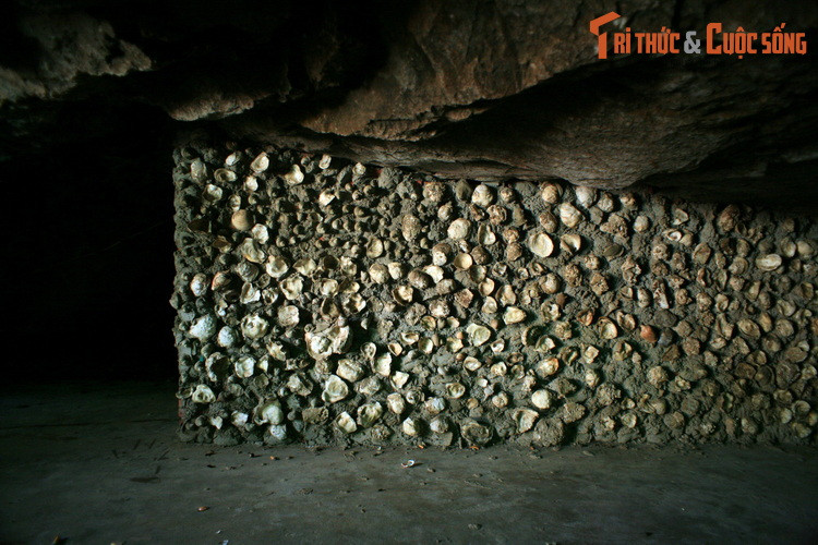 Hang động này được tạo thành từ núi đá vôi bị nước biển xâm thực trong hàng vạn năm. Căn cứ vào lượng vỏ sò hến thu được, người ta phỏng đoán vào thời xa xưa núi Hải Sơn từng nằm dưới mực nước biển. Sau này, vỏ sò ốc được dùng làm vật liệu xây dựng một số công trình của chùa Hang.