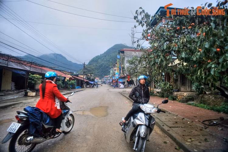 Huyện lỵ của huyện Mèo Vạc là thị trấn Mèo Vạc, có diện tích 17 km², dân số năm 2019 là 6.850 người, mật độ dân số đạt 403 người/km².