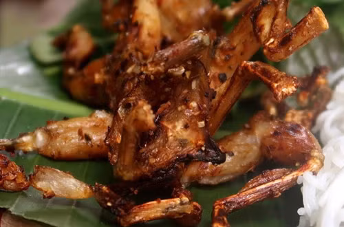 Khô nhái nướng sa tế là gợi ý không nên bỏ qua cho những người có thể ăn cay. Chế biến món này, đầu bếp chỉ cần tẩm ướp nhái khô với hỗn hợp sa tế pha loãng, nước, mắm me và chút đường, nướng qua trên bếp than là có thể thưởng thức.