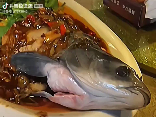 Thực khách sành ăn cho biết, cá âm dương thơm ngon từng thớ thịt vừa bắc khỏi bếp, vẫn còn nghi ngút khói.