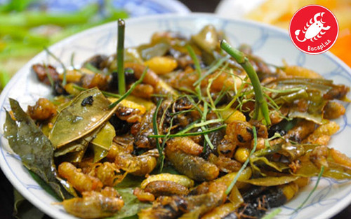 Cách làm này cũng được áp dụng với những chú bọ cạp non. So với bọ cạp chiên bơ, bọ cạp sữa chiên nhìn có vẻ “thân thiện” hơn, trẻ em cũng có thể ăn được.