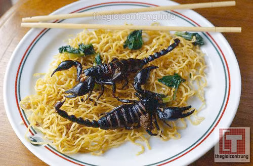 Mỳ xào bọ cạp cũng được chào đón bởi tính sáng tạo. So với các món khác, bọ cạp bày biện trên mì trông vô cùng sống động, tạo cảm giác đầy thử thách cho người ăn.