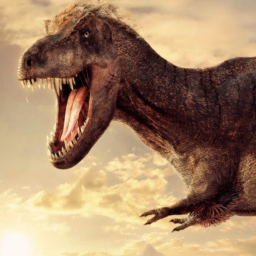 Một giải thích khác cho việc cánh tay của T-Rex nhỏ là do chúng không cần bộ phận này để săn mồi. T-Rex có chiếc răng rất sắc bén và cơ hàm cực mạnh để giết mồi và nhai nát thịt. Vì vậy, cánh tay không còn cần thiết cho T-Rex để săn mồi hay để tự bảo vệ mình.