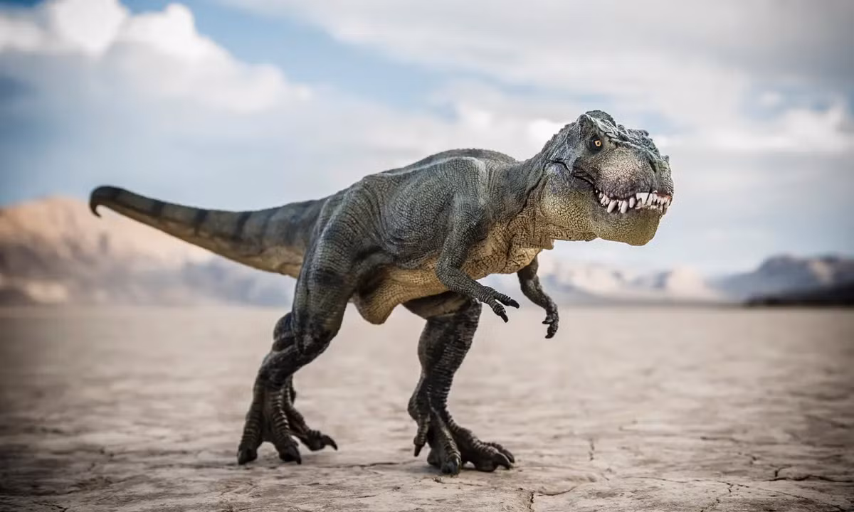 Nó được gọi là "hội tụ tiến hóa", nghĩa là các sinh vật không liên quan đến nhau nhưng lại phát triển những đặc tính tương tự.