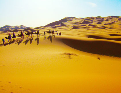 Bên cạnh đó, những hoạt động con người cũng đóng vai trò ngày càng quan trọng trong quá trình chuyển đổi khí hậu và trở thành một yếu tố lớn đóng góp vào tình trạng khô hạn của Sahara.