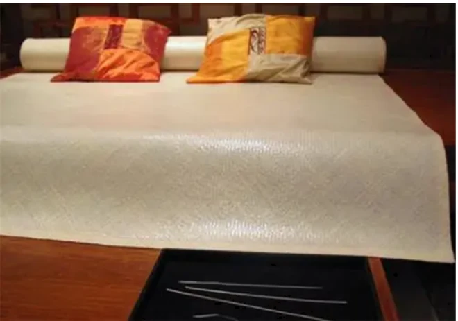 Các chuyên gia đã tìm kiếm trong tư liệu lịch sử, cuốn “Cách chí kính nguyên” ghi lại lai lịch của chiếc chiếu ngà voi này.